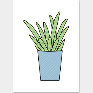 Sanseveria Vrouwentongen Color Posters and Art